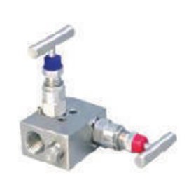 Two Valve Manifold