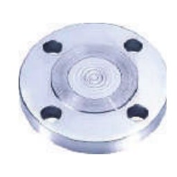 Diaphragm Seal — Direct Flanged Flush Type