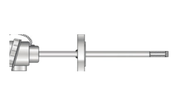 RTD Assembly with Protecting Tube (Flanged Connection)