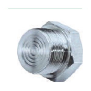 Diaphragm Seal — Screwed Flush Type