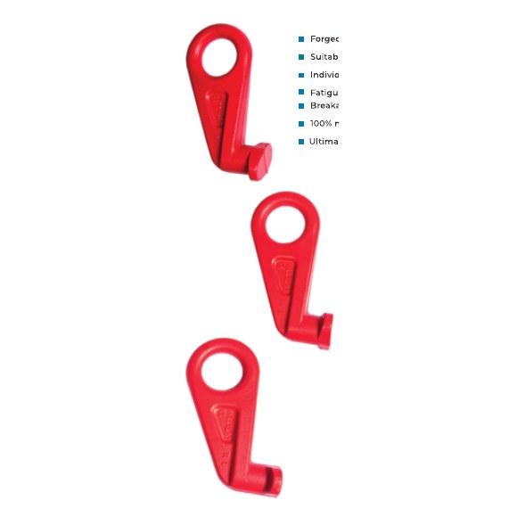 G80 Container Lifting Hook