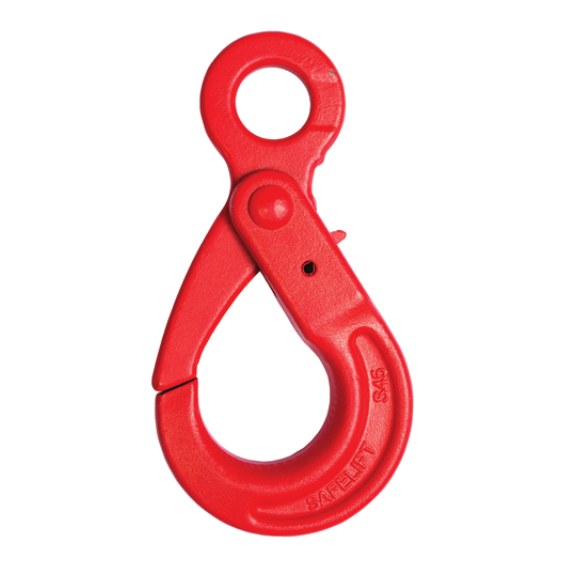 G80 Eye Self Locking Hook