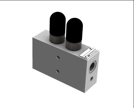 Dual Counter Balance Valve — 2CB06T03